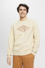 Men Esprit Beige Logo print sweatshirt Sweatshirts & Hoodies XF4444655