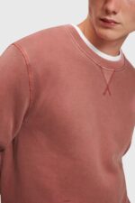 Men Esprit Terracotta Sustainable crew neck sweatshirt Sweatshirts & Hoodies XF4444937 - Image 2