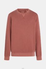 Men Esprit Terracotta Sustainable crew neck sweatshirt Sweatshirts & Hoodies XF4444937 - Image 5